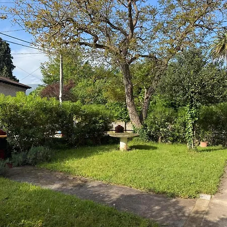 Casa Amaya *